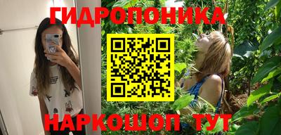 марихуана Кингисепп
