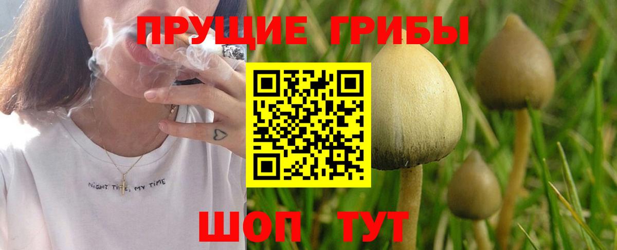 Галлюциногенные грибы мицелий  Вход с VPN  Кисловодск 