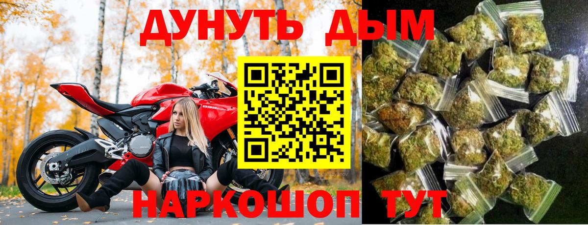 Каннабис индика Кисловодск